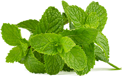 mint-2